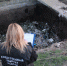 В Бердянске по факту убийства возбуждено уголовное дело - Melitopol-News.Ru