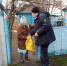 Доставка новогоднего настроения продолжается - Справедливая Россия