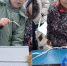 В Вознесенской школе №4 создали «птичью столовую» - Melitopol-News.Ru