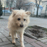 В Мелитополе новый зимний день - Melitopol-News.Ru
