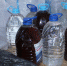 Полицейские пресекли незаконную продажу 385 литров алкоголя в Мелитопольском районе - Melitopol-News.Ru
