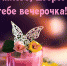 Прекрасного вечера - Melitopol-News.Ru