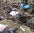 Полицейские обнаружили пистолет с патронами в тайнике возле Мирного - Melitopol-News.Ru