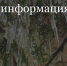Уважаемые владельцы торговых точек, индивидуальные предприниматели, предоставляющие бытовые услуги для населения, владельцы... - Melitopol-News.Ru