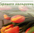 Доброе утречко - Melitopol-News.Ru