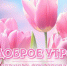 Доброе-доброе утречко субботы! - Melitopol-News.Ru