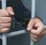 В Мелитополе сотрудники полиции задержали подозреваемых в разбойном нападении - Melitopol-News.Ru