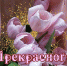 Желаем отличного вечера - Melitopol-News.Ru