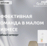 Мой бизнес Запорожской области приглашает 14 марта в 16:00 всех желающих на наш вебинар в рамках проекта «Учебный четверг» на тему: «Эффективная команда в малом бизнесе» - Melitopol-News.Ru