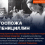 Вокруг бушует холера, микробиология еще не развита, и вам поручено создать лекарство против инфекции - Melitopol-News.Ru