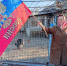 Люди благодарят главу государства - Справедливая Россия