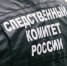 В Бердянске перед судом предстанет женщина, обвиняемая в убийстве знакомого - Следственный комитет