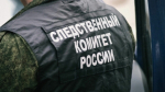Несовершеннолетней жительнице Бердянска предъявлено обвинение в убийстве 7-летней девочки
