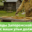 Маркировка пчёл в Запорожской области — важное правило для всех пчеловодов! - Министерство АПК