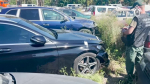 Водителю автомобиля предъявлено обвинение в совершении ДТП, повлекшего гибель 15-летней девочки в Мелитополе
