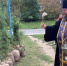 В Запорожской области заложили Аллею казачьей славы - Министерство природы, экологии и недропользования