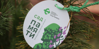 В Мелитополе высадили 40 сосен в рамках акции «Сад памяти» - Комитет по занятости населения