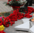 Вас помнит город спасенных... - Справедливая Россия