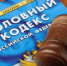 Обвиняемому водителю в совершении ДТП продлен срок содержания под стражей - Следственный комитет