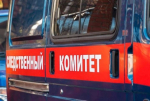 Установлены подозреваемые в совершении противоправных действий в отношении несовершеннолетнего в Мелитополе