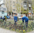 Ведется плановая работа по озеленению. - Город округ Мелитополь