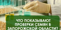 В лабораториях Запорожского филиала ФГБУ «Россельхозцентр» проверено более 60 тысяч тонн семенного материала - Министерство АПК