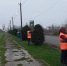В городском округе Мелитополь продолжаются работы по обрезке зелёных насаждений. - Город округ Мелитополь