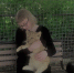 img - ЛДПР