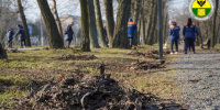 В Мелитополе привели в порядок проспект Богдана Хмельницкого. - Город округ Мелитополь