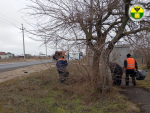 В Кирилловском сельском поселении продолжаются работы по благоустройству.