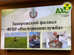 В рамках проекта «Фермерский час» администрация городского округа Мелитополь провела совещание с сельскохозяйственными предприятиями.