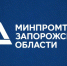 Промышленная кооперация — новый этап интеграции Запорожской области в экономику России - Министерство промышленности и торговли