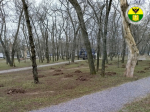 В Мелитополе привели в порядок территорию эко-парка.