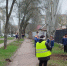 В Мелитополе продолжаются работы по благоустройству. - Город округ Мелитополь