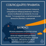Большинство природных пожаров происходят по вине человека