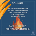 Большинство природных пожаров происходят по вине человека