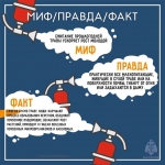 Большинство природных пожаров происходят по вине человека