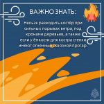 Большинство природных пожаров происходят по вине человека