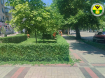 В Мелитополе продолжаются работы по благоустройству общественных пространств.