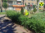 В Мелитополе продолжаются работы по благоустройству общественных пространств.