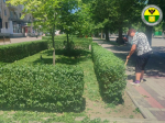 В Мелитополе продолжаются работы по благоустройству общественных пространств.