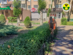 В Мелитополе продолжаются работы по благоустройству общественных пространств.