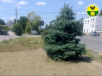 Администрация городского округа Мелитополь продолжает работу по благоустройству общественных пространств.