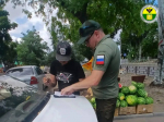 В Мелитополе продолжает работу муниципальный контроль в сфере благоустройства.