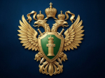 О применении исполнительных действий и мер принудительного исполнения судебным приставом-исполнителем.